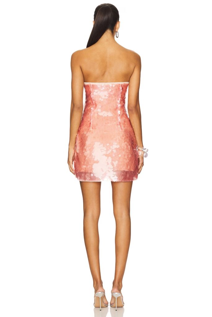 Jazzlyn Mini Dress Full Size Image 2