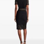 Brone Lace Pleated Dress Thumbnail 3