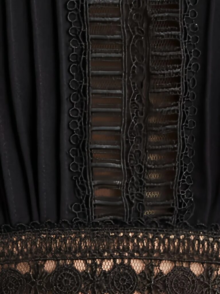 Brone Lace Pleated Dress Full Size Image 5