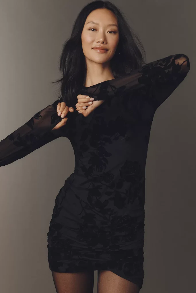 Mizra Mesh Long-Sleeve Mini Dress Full Size Image 3