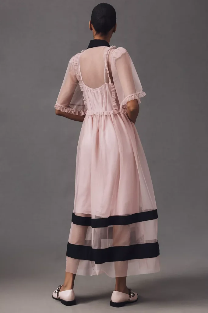 Sheer Maxi Dress Full Size Image 2