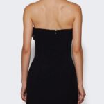 Payette Embr Trim Mini Strapless Dress Thumbnail 4