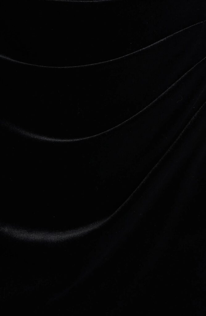 Jeweled Neck Velvet Dress Full Size Image 2