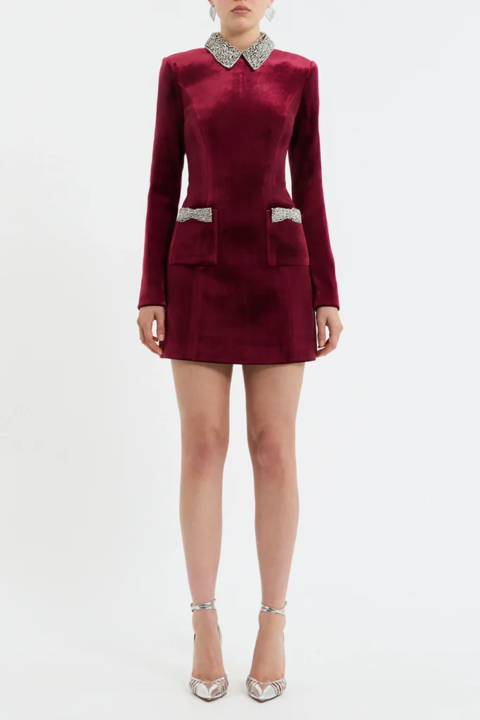 Edwiena Long Sleeve Mini Dress Full Size Image 1