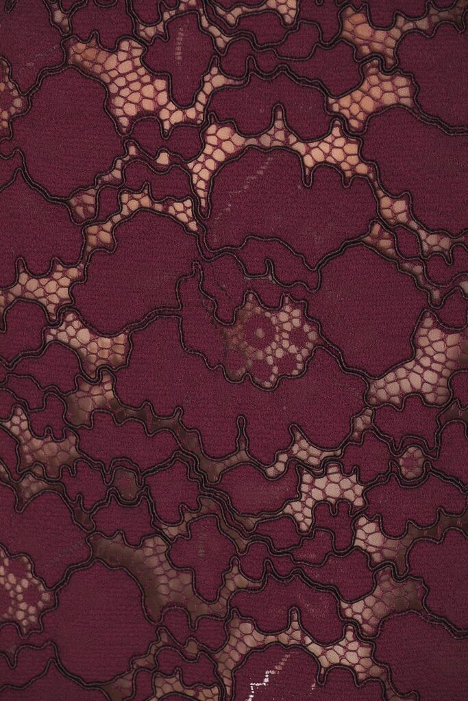 Perdita Lace Dress Full Size Image 3