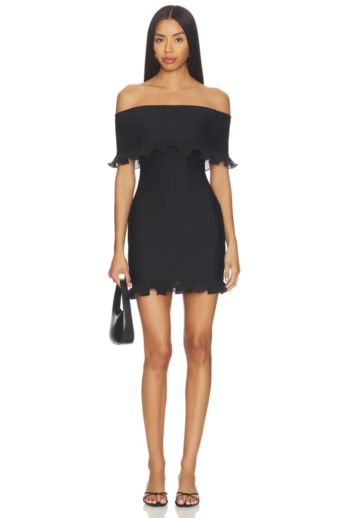 Catiana Mini Dress Full Size Image 1