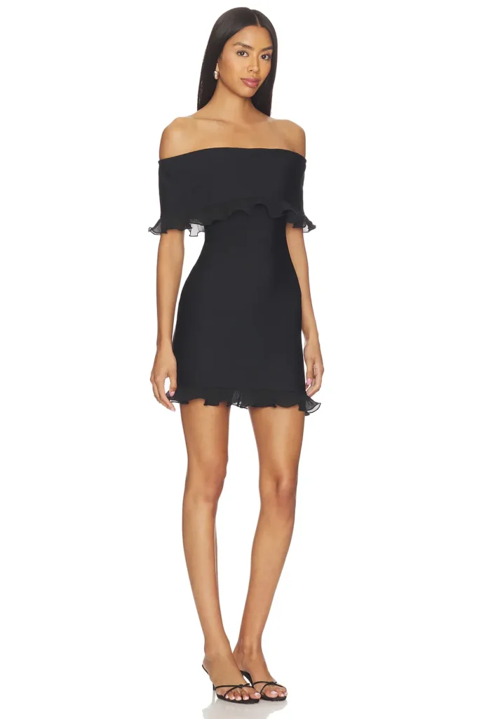 Catiana Mini Dress Full Size Image 3