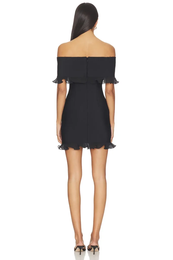 Catiana Mini Dress Full Size Image 2