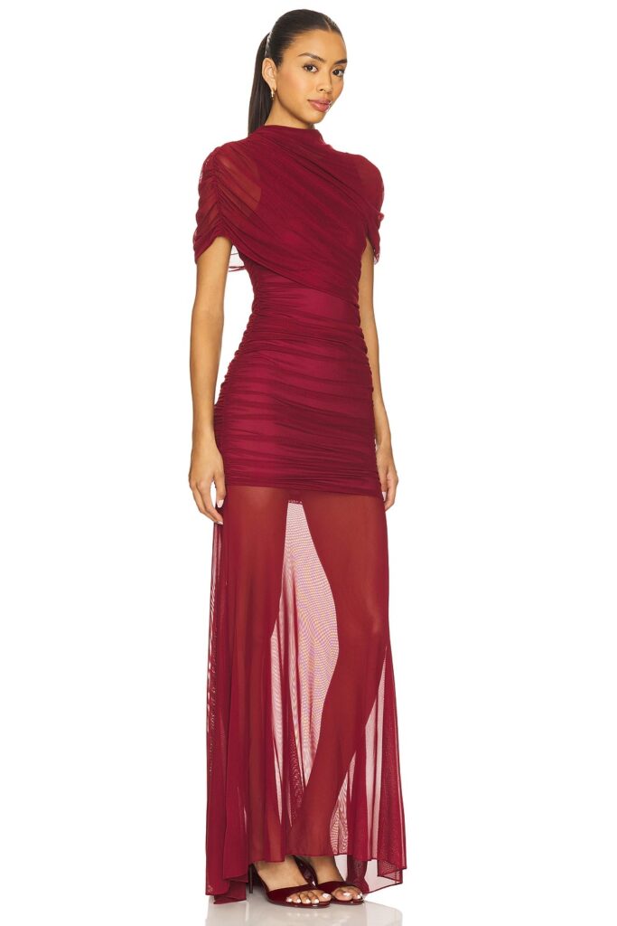 Evianna Mesh Gown Full Size Image 3