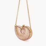 Sea Treasures Shell Minaudiere in Plexiglass Thumbnail 4