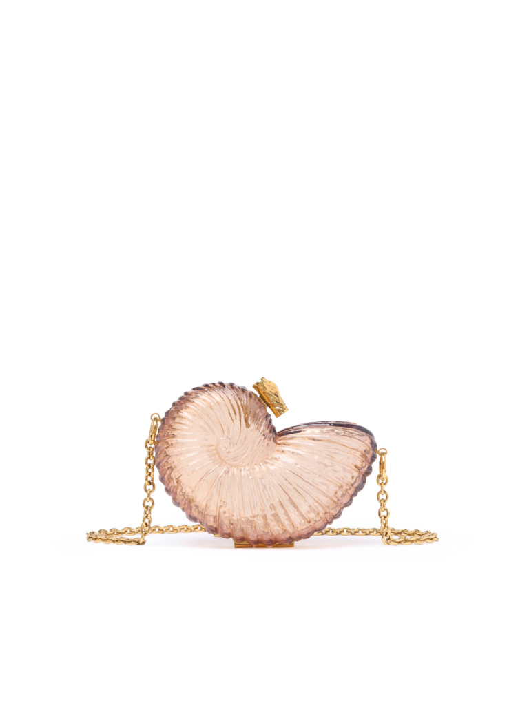 Sea Treasures Shell Minaudiere in Plexiglass Full Size Image 1