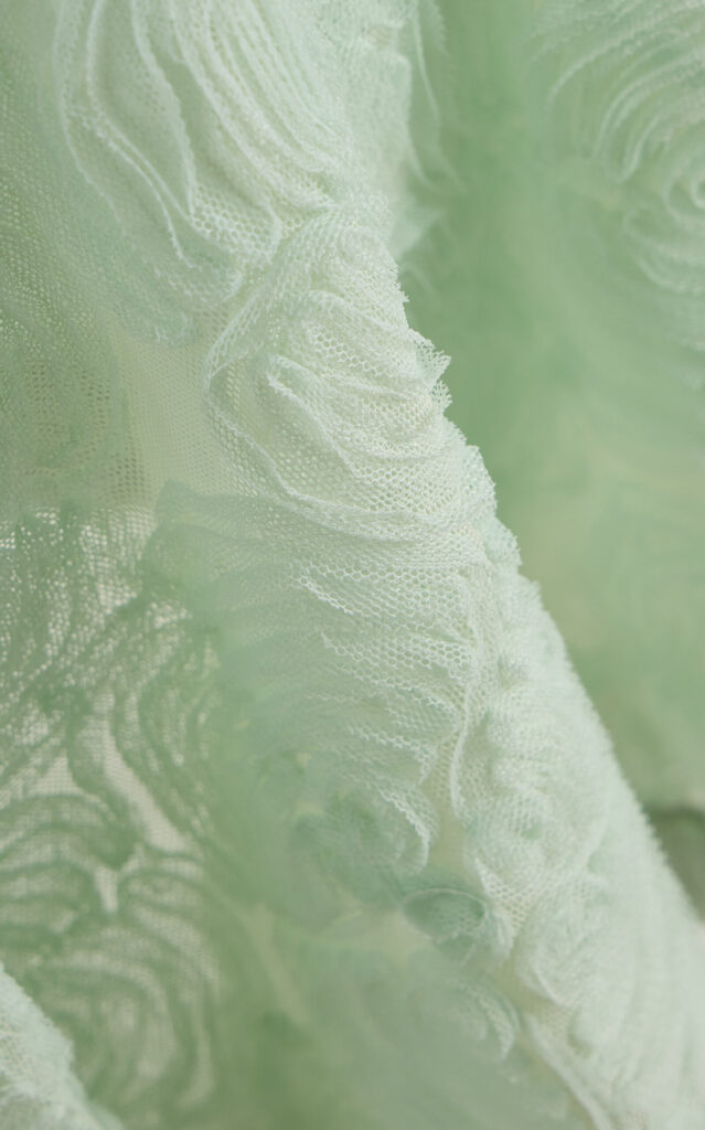 Flower Mesh Flounce Dress Full Size Image 3