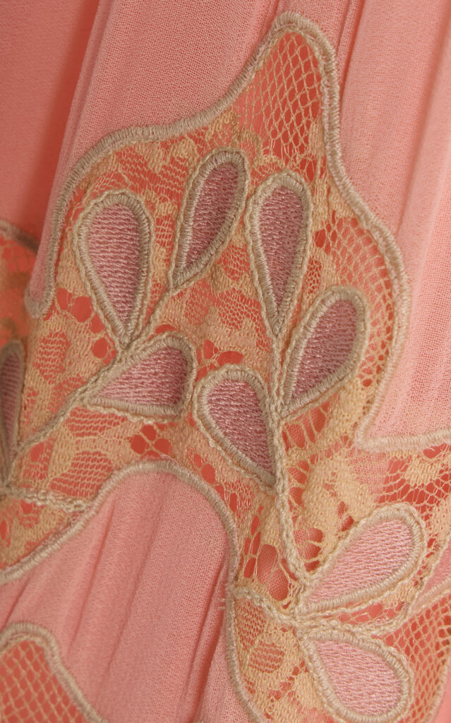 Gracelyn Embellished Lace Maxi Dress Full Size Image 3