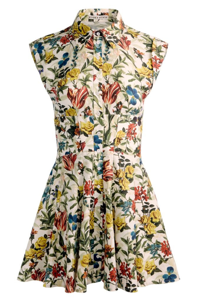 Kim Floral Paneled Minidress Full Size Image 3