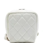 2021 CC Quilted Lambskin Cube Zip Clutch with Chain Vanity Bag Thumbnail 3