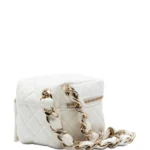 2021 CC Quilted Lambskin Cube Zip Clutch with Chain Vanity Bag Thumbnail 2