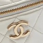 2021 CC Quilted Lambskin Cube Zip Clutch with Chain Vanity Bag Thumbnail 4