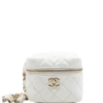 2021 CC Quilted Lambskin Cube Zip Clutch with Chain Vanity Bag Thumbnail 1