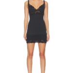 Shadow Lace Mini Dress Thumbnail 1