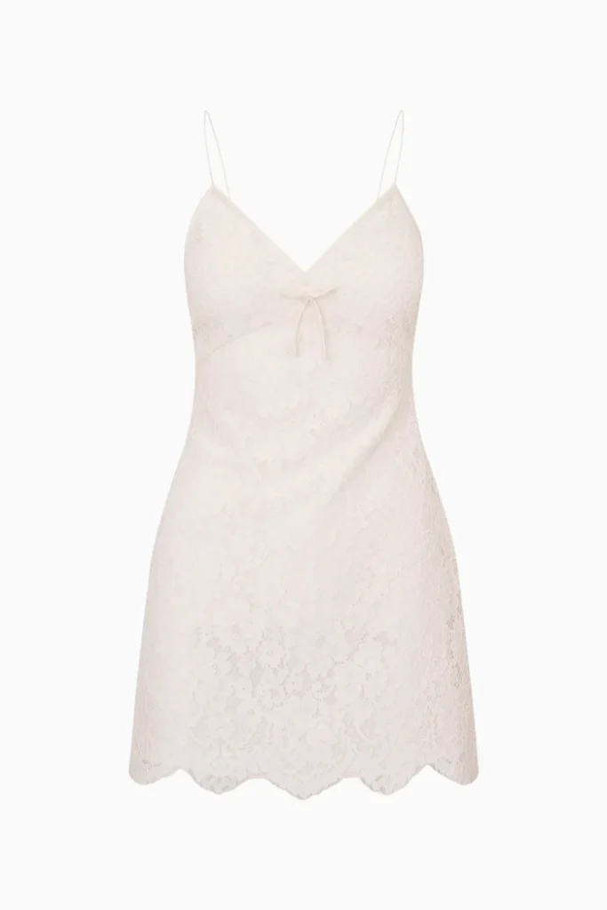 Petaline Lace Mini Dress Full Size Image 4