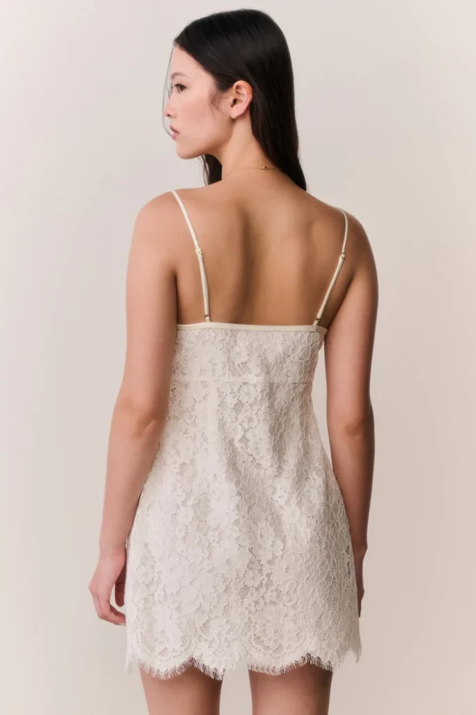 Petaline Lace Mini Dress Full Size Image 5